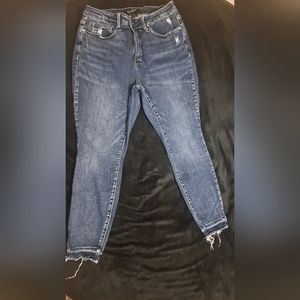 Judy Blue Tummy Control Skinny Jeans, 16W